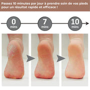 LIME ÉLECTRIQUE PROFESSIONNELLE