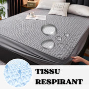 PROTEGE MATELAS IMPERMEABLE + 02 PROTEGES COUSSINS